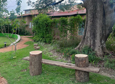 Rustic wooden bench