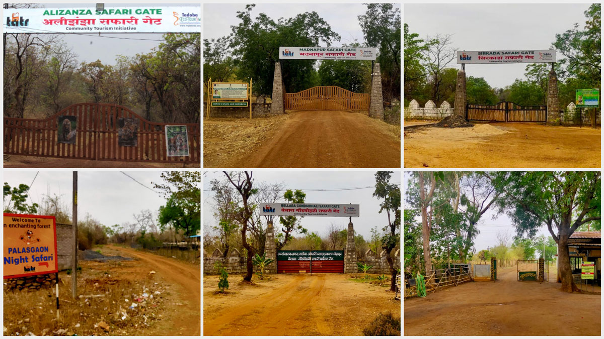 Buffer Gates of Korala Zone